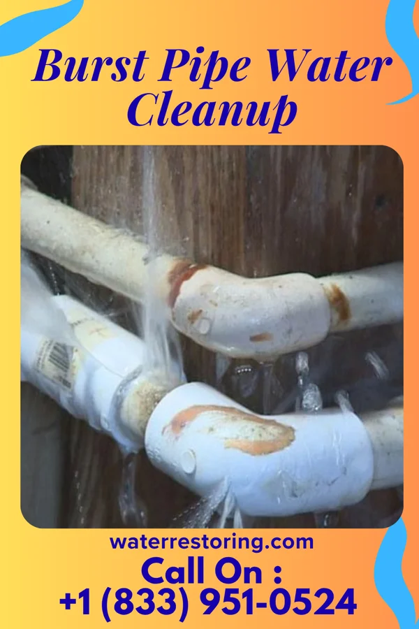 Burst Pipe Water Cleanup in Falcon, MS