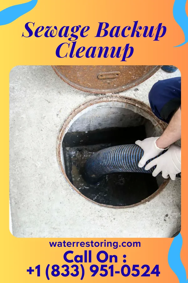 Sewage Backup Cleanup in Falcon, MS